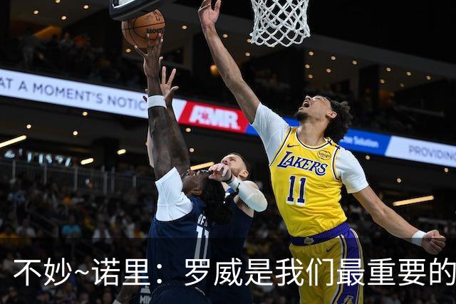不妙~诺里：罗威是我们最重要的拼图 他和克林根能提供48分钟护筐