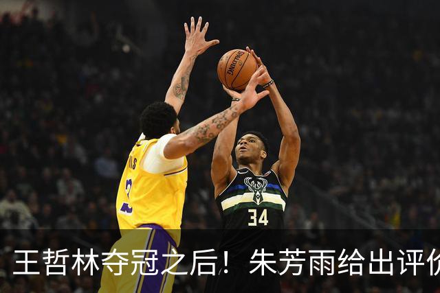 王哲林夺冠之后！朱芳雨给出评价，让众多主教练破防